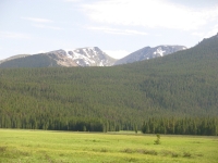 On the  CDT in RMNP